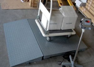 供應(yīng) 廠家直銷 1噸電子地泵,2噸電子地泵,3噸電子地泵